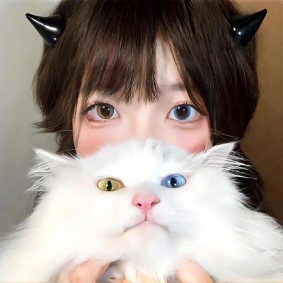 狂父复子仇 海报