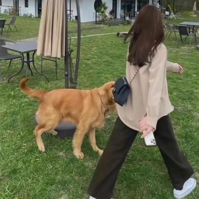 陆小凤与花满楼 海报